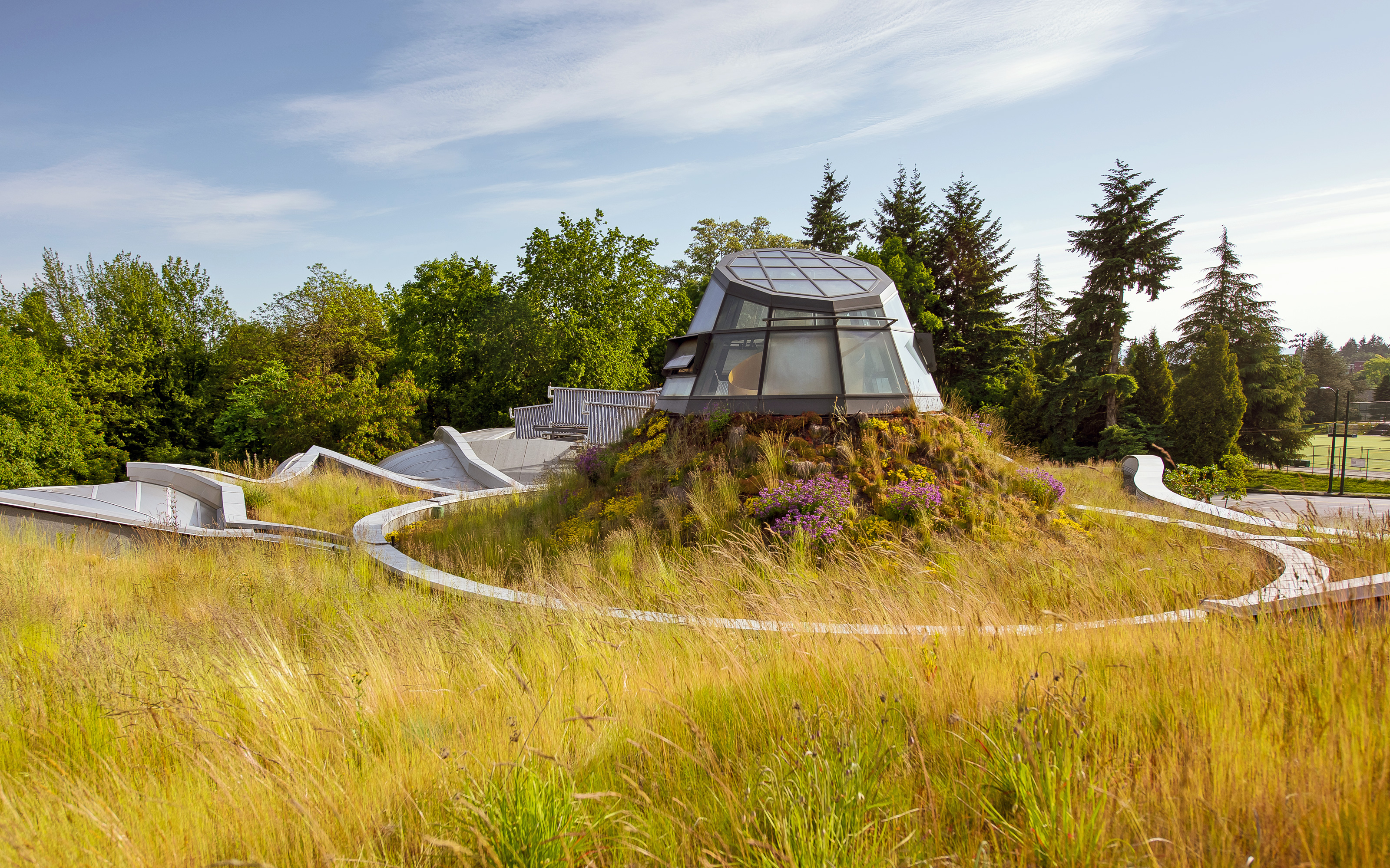 Green roof with grasses and atrium